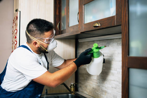 Best Wasp Removal Services  in Newport, NC