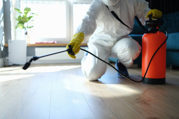 Reliable Newport, NC Pest Control Solutions