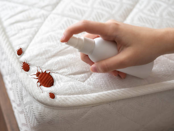 Best Best Pest Control Companies  in Newport, NC