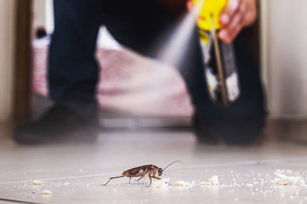 Best Pest Prevention Services  in Newport, NC