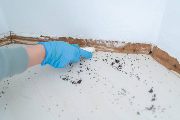 Best Wildlife Control Services  in Newport, NC